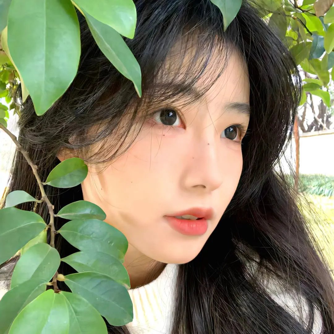 绝世网红