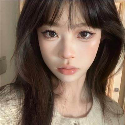大使阁下的料理人