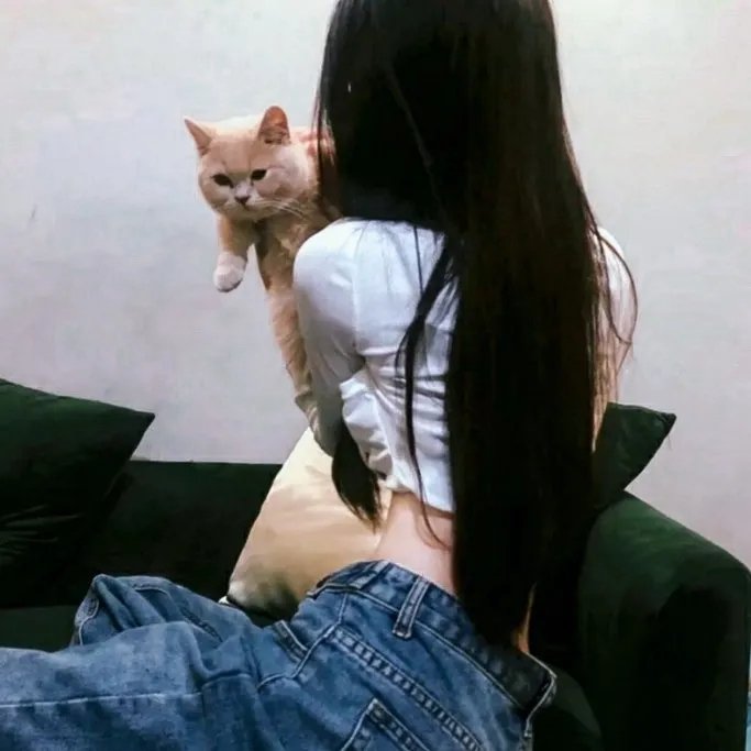 猫和老鼠1965